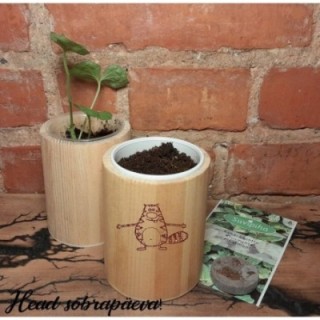 Мини сад  с индивидуальной гравировкой