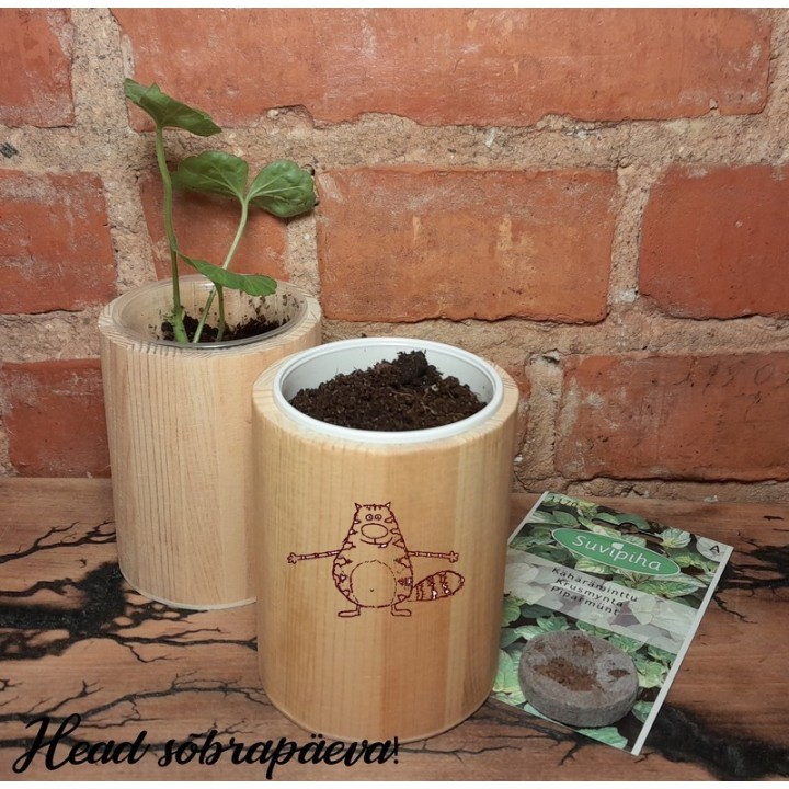 Мини сад  с индивидуальной гравировкой