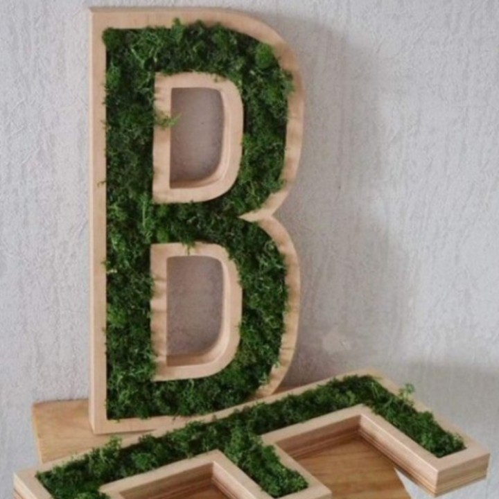 Буква с мхом