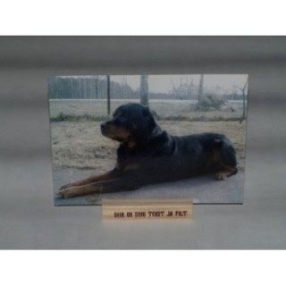 Деревянный держатель фото или визитки  с индивидуальной гравировкой