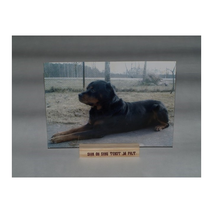 Деревянный держатель фото или визитки  с индивидуальной гравировкой